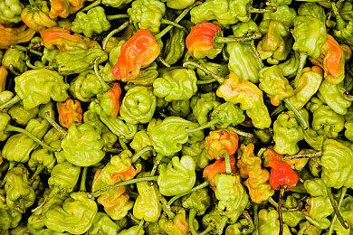 《零秒》Steam试玩版上线：Roguelike 动作游戏开启时空冒险